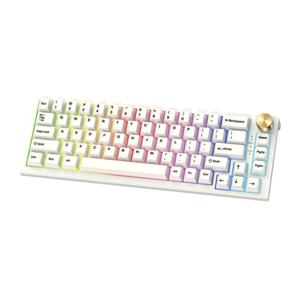 Tastatura gejmerska mehanicka bezicna MAXFIT67 MK858 space edition (Kaith box white switch) FANTECH