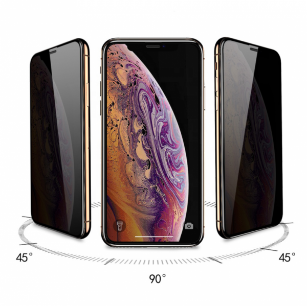 Tempered Glass Privacy 2.5D full glue za iPhone XR crni