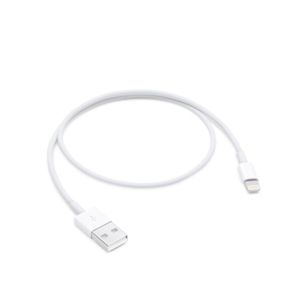 Apple Lightning to USB Cable (0.5 m)