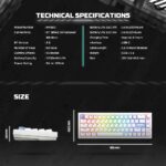 Tastatura Mehanicka Gaming Fantech MK920 RGB Maxfit 6 Wireless black (Brown switch) - Image 3