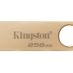 USB Flash Kingston 256GB DataTraveler SE9 G3 USB3.2, DTSE9G3/256GB
