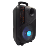 Bluetooth zvucnik TTD-8251 8" - Slika 2