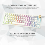 Tastatura gejmerska mehanicka bezicna MAXFIT67 MK858 space edition (Kaith box white switch) FANTECH - Slika 7