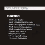 Bluetooth zvucnik TTD-8251 8" - Slika 6