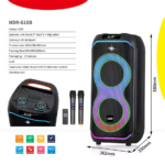 Bluetooth zvucnik NDR-616B 40W - Slika 5