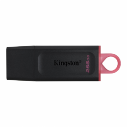 Kingston Data Traveler Exodia Onyx DTX USB flash memorija 256GB 3.2 crna